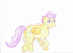 Size: 2338x1700 | Tagged: safe, artist:cmc--scootaloo, derpibooru import, scootaloo, scared, shaking, shivering, solo, sweat