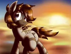 Size: 1600x1200 | Tagged: safe, artist:studlyhorn, derpibooru import, oc, oc:kouprisa, unofficial characters only, earth pony, zebra, desert, image, male, png, raised hoof, raised leg, smiling, solo, sun, sunset, wind