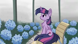 Size: 3840x2160 | Tagged: safe, artist:leafbunny, derpibooru import, twilight sparkle, twilight sparkle (alicorn), alicorn, pony, bench, chest fluff, colored pupils, cute, female, flower, fluffy, greenhouse, mare, pixiv, profile, sitting, solo, twiabetes