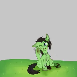 Size: 1000x1000 | Tagged: artist needed, semi-grimdark, derpibooru import, oc, oc:anonfilly, ponified, unofficial characters only, blood, ear scratch, female, filly, /mlp/, scratches, solo, survivor, underhoof