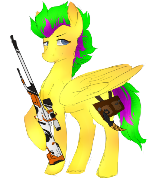 Size: 1091x1200 | Tagged: safe, derpibooru import, oc, oc:muddy, unofficial characters only, pegasus, pony, asiimov, awp, counter-strike, counter-strike: global offensive, gun, hooves, karambit, looking at you, male, optical sight, rifle, saddle bag, simple background, smiling, sniper, sniper rifle, solo, stallion, tiger tooth, transparent background, weapon, wings