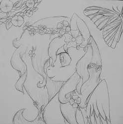 Size: 1024x1036 | Tagged: artist:wintaura, butterfly, derpibooru import, floral head wreath, flower, fluttershy, lineart, monochrome, morning glory, safe, solo, traditional art, wip