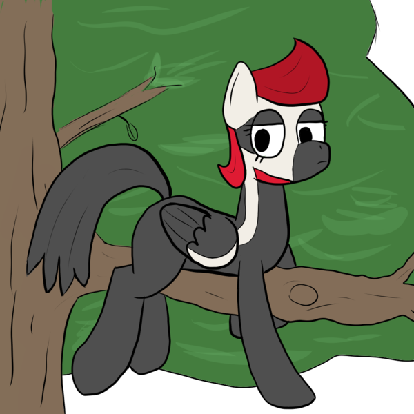 Size: 1000x1000 | Tagged: artist:bojangleee, artist needed, bird pone, derpibooru import, oc, oc:woodpecker, prone, safe, solo, tree, tree branch, unofficial characters only, woodpecker