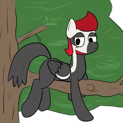 Size: 1000x1000 | Tagged: artist:bojangleee, artist needed, bird pone, derpibooru import, oc, oc:woodpecker, prone, safe, solo, tree, tree branch, unofficial characters only, woodpecker