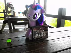 Size: 960x720 | Tagged: artist:onlyfactory, bootleg, chinese text, derpibooru import, irl, messenger bag, photo, plushie, safe, twilight sparkle