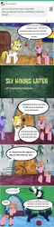 Size: 783x3282 | Tagged: alicorn, alicorn oc, artist:ask-luciavampire, ask, derpibooru import, dialogue, oc, oc:nyx, oc:td warrior, safe, spongebob meets the strangler, spongebob squarepants, spongebob time card, traditional art, translation, tumblr, tumblr:ask-luciavampire, twilight sparkle, vampire, vampony