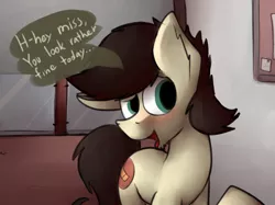 Size: 1280x955 | Tagged: safe, artist:marsminer, derpibooru import, oc, oc:keith, unofficial characters only, pony, blushing, compliment, dialogue, male, smiling, solo, stallion