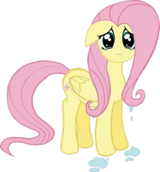 Size: 900x968 | Tagged: safe, artist:yukas-armstrong, derpibooru import, fluttershy, pegasus, pony, crying, puddles, simple background, solo, teary eyes, transparent background, wet mane