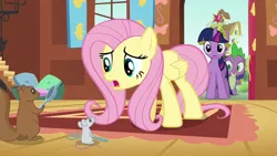 Size: 640x360 | Tagged: animation error, derpibooru import, fluttershy, magical mystery cure, mouse, safe, screencap, spike, squirrel, twilight sparkle