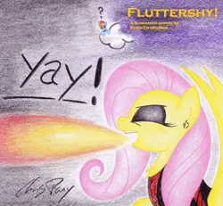 Size: 1024x948 | Tagged: artist:thechrispony, derpibooru import, fire, fluttershy, metal, parody, rainbow dash, rammstein, safe, song cover, traditional art, yay