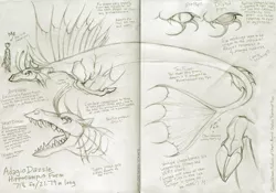 Size: 1600x1120 | Tagged: adagio dazzle, anatomy, antennae, artist:kaemantis, cloven hooves, derpibooru import, eyes, fins, gills, hippocampus, merpony, monochrome, safe, sea monster, siren, size comparison, sketchbook, sunset shimmer, sunset the science gal, teeth, traditional art