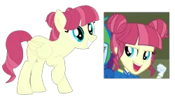 Size: 689x382 | Tagged: safe, artist:berrypunchrules, derpibooru import, majorette, rainbow dash, sweeten sour, ponified, pegasus, pony, equestria girls, friendship games, background human, equestria girls ponified, picture in picture, simple background, transparent background