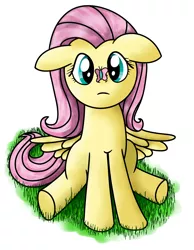 Size: 1612x2077 | Tagged: safe, artist:gyroc, derpibooru import, fluttershy, butterfly, solo