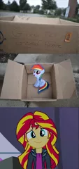 Size: 1316x2796 | Tagged: safe, derpibooru import, rainbow dash, sunset shimmer, fanfic:my little dashie, equestria girls, dashie meme, exploitable meme, good people finding dash meme, meme