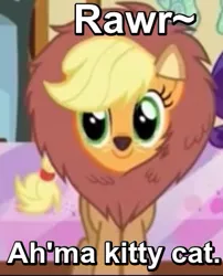 Size: 305x377 | Tagged: safe, derpibooru import, screencap, applejack, big cat, earth pony, lion, pony, scare master, applecat, applelion, c:, caption, clothes, costume, cute, face paint, female, image macro, jackabetes, mare, meme, nightmare night, nightmare night costume, rawr, silly, silly pony, smiling, solo, sugarcube corner, who's a silly pony