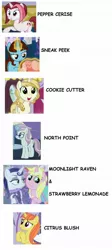 Size: 916x2044 | Tagged: safe, derpibooru import, cayenne, citrus blush, lily love, moonlight raven, north point, rarity, say cheese, sea swirl, seafoam, sunshine smiles, sweet biscuit, pony, unicorn, canterlot boutique, season 5, background pony, comic sans, female, mare, name proposal, name suggestions, sneak peek