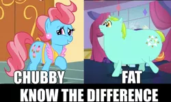 Size: 1036x618 | Tagged: canterlot boutique, chubby, comparison, cup cake, derpibooru import, fat, image macro, know the difference, meme, obese, rarity, safe, sassy saddles, whoa nelly