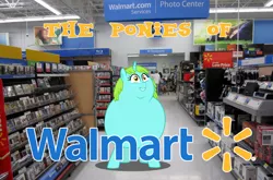 Size: 1532x1010 | Tagged: safe, derpibooru import, whoa nelly, pony, canterlot boutique, brony, fat, incidental pony, irl, people of walmart, photo, ponies in real life, ponies of walmart, solo, walmart