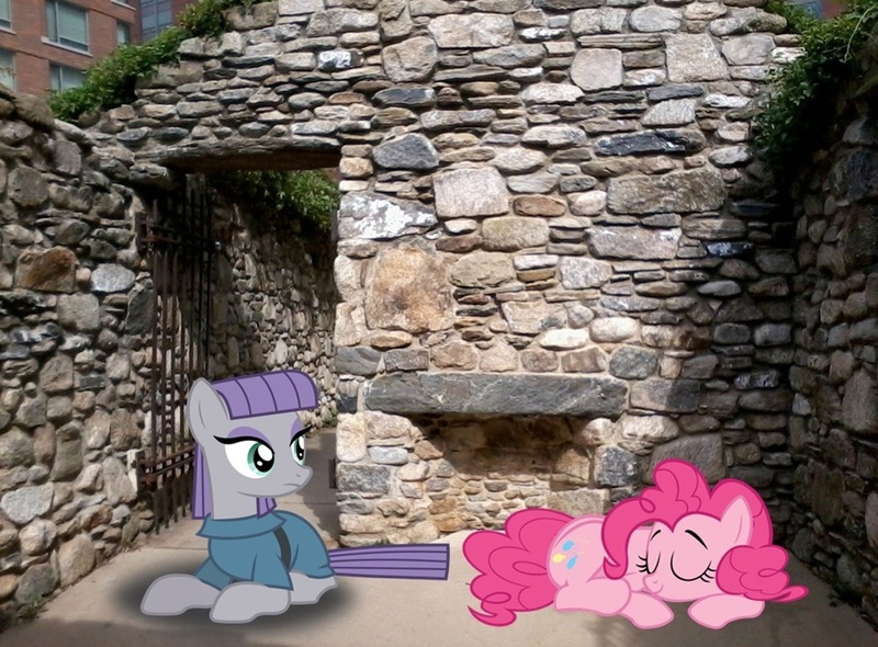 Size: 1053x776 | Tagged: artist:90sigma, artist:ikillyou121, artist:thedoubledeuced, derpibooru import, gate, happy, ireland, irish potato famine memorial, irl, maud pie, photo, pinkie pie, ponies in real life, prone, safe, shadow, sisters, sleeping, vector