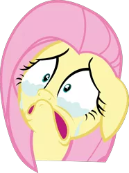 Size: 3204x4301 | Tagged: artist:sir-teutonic-knight, crying, derpibooru import, fluttershy, reaction image, safe, simple background, solo, .svg available, transparent background, vector