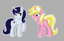 Size: 5098x3266 | Tagged: safe, artist:velocityraptor, derpibooru import, moonlight raven, sunshine smiles, pony, unicorn, canterlot boutique, female, mare