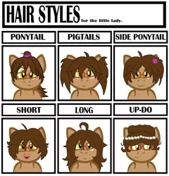 Size: 800x832 | Tagged: safe, artist:deltafairy, derpibooru import, oc, oc:healing heart, unofficial characters only, pegasus, pony, female, hair, hair bun, hair style meme, hairstyle, just for fun, long hair, meme, meme chart, pigtails, ponytail, short hair, side ponytail, solo, updo