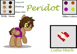Size: 1024x718 | Tagged: safe, artist:deltafairy, derpibooru import, oc, oc:perido, unofficial characters only, pegasus, pony, back brace, brown fur, brown mane, female, reference sheet, solo