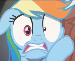 Size: 773x626 | Tagged: crazy eyes, derpibooru import, rainbow dash, rarity investigates, reaction, reaction image, safe, screencap, solo, stress, stressed