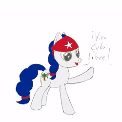 Size: 1000x1000 | Tagged: artist:datspaniard, cuba, derpibooru import, nation ponies, oc, oc:cuba, ponified, safe, solo, unofficial characters only, viva cuba libre