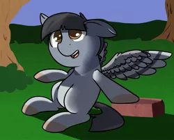 Size: 1750x1405 | Tagged: artist:neuro, bird pone, brick, derpibooru import, forest, oc, oc:peep, safe, solo, unofficial characters only