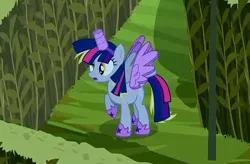 Size: 494x324 | Tagged: safe, derpibooru import, screencap, derpy hooves, alicorn, pony, scare master, alicorn costume, clothes, costume, derpicorn, fake horn, fake wings, frown, implied twilight sparkle, nightmare night costume, open mouth, race swap, raised hoof, seems legit, solo, spread wings, toilet paper roll, toilet paper roll horn, twilight muffins, twilight sparkle costume, wig