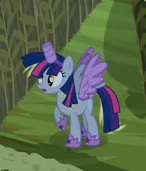 Size: 244x287 | Tagged: safe, derpibooru import, screencap, derpy hooves, twilight sparkle, twilight sparkle (alicorn), alicorn, pony, scare master, alicorn costume, clothes, cosplay, costume, disguise, fake horn, fake wings, female, frown, mare, nightmare night, nightmare night costume, open mouth, paper-thin disguise, raised hoof, solo, spread wings, toilet paper roll, toilet paper roll horn, twilight muffins, wig