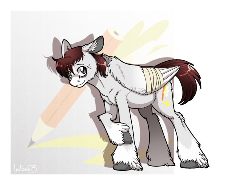 Size: 1024x832 | Tagged: safe, artist:inuhoshi-to-darkpen, derpibooru import, oc, oc:white canvas, unofficial characters only, pegasus, pony, bandage, bandaged wing, feathered fetlocks, shy, solo, unshorn fetlocks