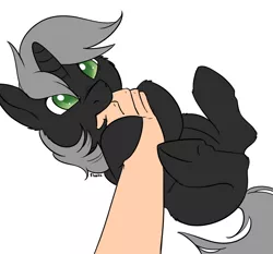 Size: 1800x1676 | Tagged: safe, artist:floots, derpibooru import, oc, oc:blinky, unofficial characters only, pony, unicorn, fallout equestria, :t, behaving like a cat, bellyrubs, biting, butt fluff, cheek fluff, colored pupils, colt, cute, ear fluff, finger bite, fluffy, hand, hoof fluff, hoof hold, leg fluff, legs in air, male, nom, nose wrinkle, ocbetes, offscreen character, on back, petting, pov, simple background, smiling, solo focus, stallion, tickling, underhoof, white background