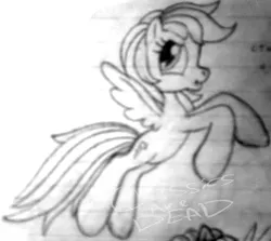 Size: 732x653 | Tagged: artist:colossalstinker, derpibooru import, g3.5, g4 to g3.5, generation leap, monochrome, rainbow dash, safe, solo, traditional art