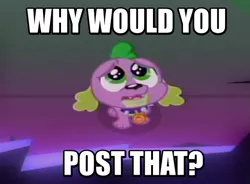 Size: 541x398 | Tagged: safe, derpibooru import, screencap, spike, spike the regular dog, dog, equestria girls, friendship games, cute, image macro, meme, puppy dog eyes, reaction image, solo, why would you post that