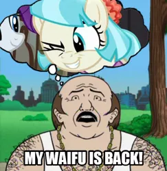 Size: 540x555 | Tagged: adult swim, aqua teen hunger force, carl, carl brutananadilewski, cartoon network, cocobetes, coco pommel, cute, derpibooru import, image macro, made in manehattan, meme, rarity, safe, waifu