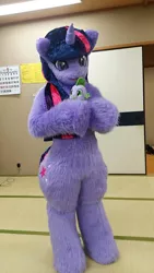 Size: 576x1024 | Tagged: artist:tashiroyu, derpibooru import, fursuit, human, irl, photo, plushie, safe, spike, twilight sparkle