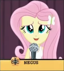 Size: 486x536 | Tagged: safe, derpibooru import, edit, edited screencap, screencap, fluttershy, equestria girls, friendship games, ethiopia, slur, spelling bee