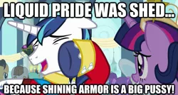 Size: 625x335 | Tagged: safe, derpibooru import, screencap, shining armor, image macro, liquid pride, meme