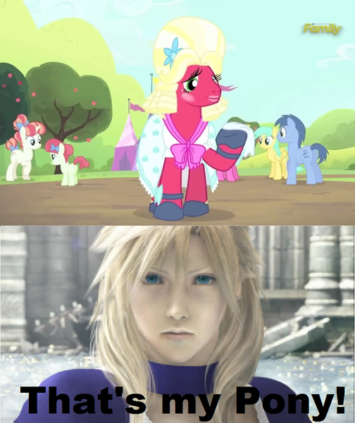 Size: 752x896 | Tagged: safe, derpibooru import, screencap, big macintosh, blues, cherry berry, noteworthy, rainberry, rainbow stars, sunshower raindrops, earth pony, pony, brotherhooves social, cloud strife, crossdressing, final fantasy, final fantasy vii, male, meme, orchard blossom, stallion, that's my pony, that's my x