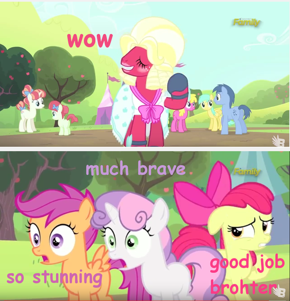 Size: 854x886 | Tagged: safe, derpibooru import, screencap, apple bloom, big macintosh, blues, cherry berry, noteworthy, rainberry, rainbow stars, scootaloo, sunshower raindrops, sweetie belle, earth pony, pony, brotherhooves social, comic sans, cutie mark crusaders, doge, image macro, male, meme, orchard blossom, pink text, purple text, stallion