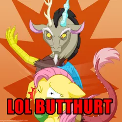 Size: 1200x1200 | Tagged: derpibooru import, discord, flutterbuse, fluttershy, image macro, lol butthurt, meme, safe