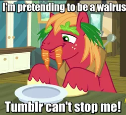 Size: 480x440 | Tagged: safe, derpibooru import, screencap, big macintosh, pony, walrus, brotherhooves social, carrot, first world anarchist, image macro, lettuce, meme, silly, silly pony, solo, tumblr