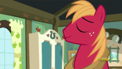 Size: 500x281 | Tagged: safe, derpibooru import, screencap, apple bloom, big macintosh, earth pony, pony, brotherhooves social, animated, discovery family, discovery family logo, grin, male, shit eating grin, stallion