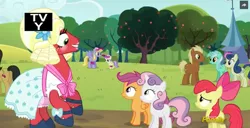 Size: 1076x551 | Tagged: safe, derpibooru import, screencap, alula, apple bloom, big macintosh, bon bon, cherry cola, cherry fizzy, cloud kicker, lyra heartstrings, meadow song, scootaloo, sweetie belle, sweetie drops, earth pony, pony, brotherhooves social, background pony, bloomers, clothes, crossdressing, cutie mark crusaders, discovery family logo, dress, makeup, male, orchard blossom, stallion, trap, when you see it, wig