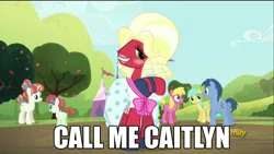 Size: 640x360 | Tagged: safe, derpibooru import, screencap, big macintosh, blues, cherry berry, noteworthy, rainberry, rainbow stars, sunshower raindrops, earth pony, pony, brotherhooves social, crossdressing, image macro, male, meme, orchard blossom, stallion, transgender