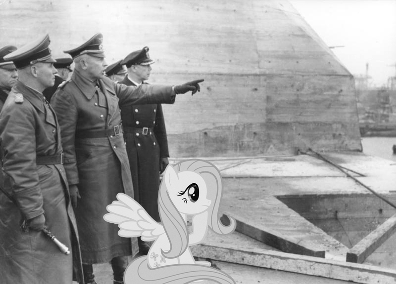 Size: 800x575 | Tagged: artist:kohlenklau, artist:parclytaxel, black and white, derpibooru import, erwin rommel, fluttershy, france, grayscale, irl, monochrome, nazi, normandy, photo, ponies in real life, safe, sitting, thinking, world war ii