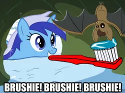 Size: 462x344 | Tagged: bat, brushie, brushie brushie, derpibooru import, edit, edited screencap, image macro, meme, minuette, safe, screencap, snow, toothbrush, toothpaste, winter wrap up