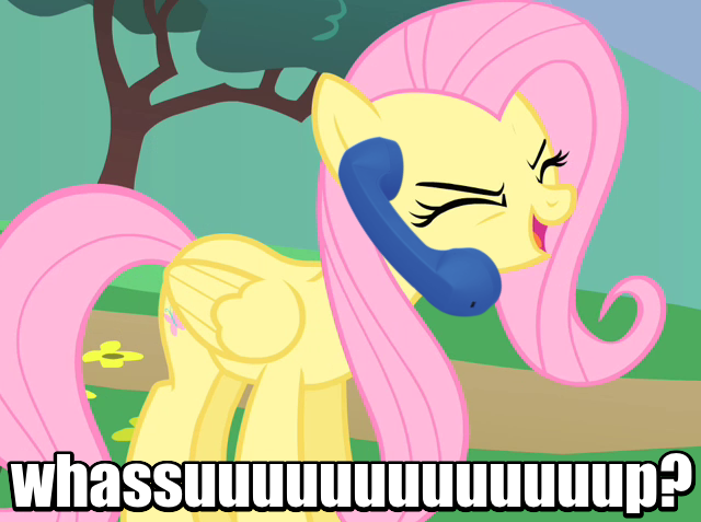 Size: 640x477 | Tagged: safe, derpibooru import, fluttershy, pegasus, pony, budweiser, eyes closed, female, flutteryay, impact font, mare, phone, scary movie, telephone, wassup, yay